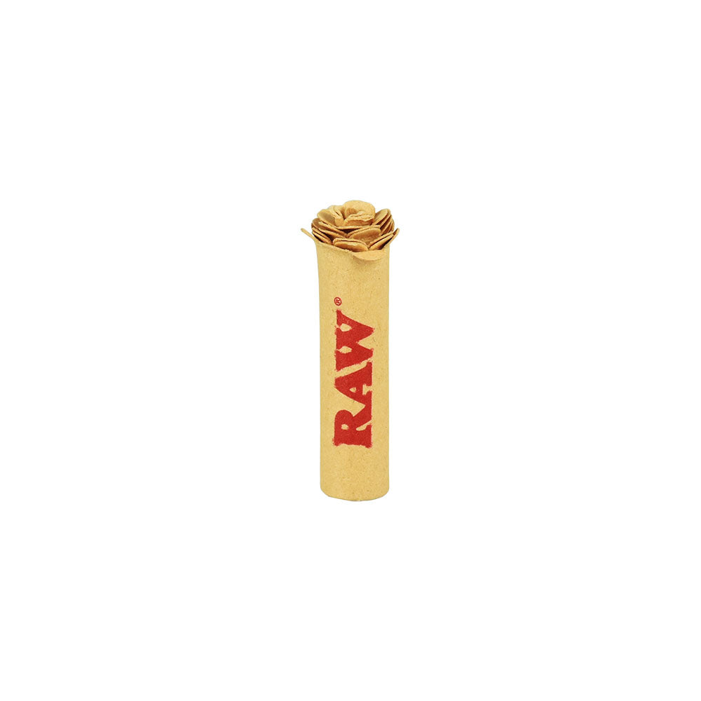RAW Pre-Rolled Rose Tip | 6pc Display